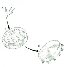 COMS plaque components